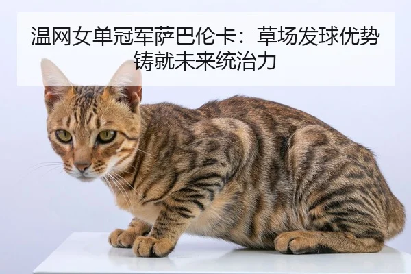 温网女单冠军萨巴伦卡：草场发球优势铸就未来统治力