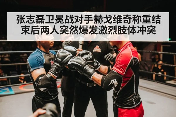 张志磊卫冕战对手赫戈维奇称重结束后两人突然爆发激烈肢体冲突