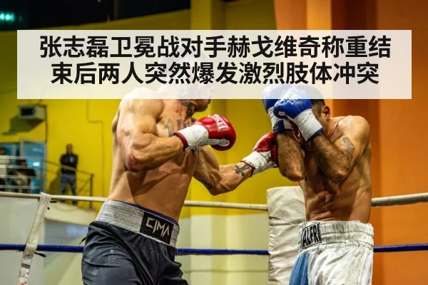heavyweight boxers confrontation